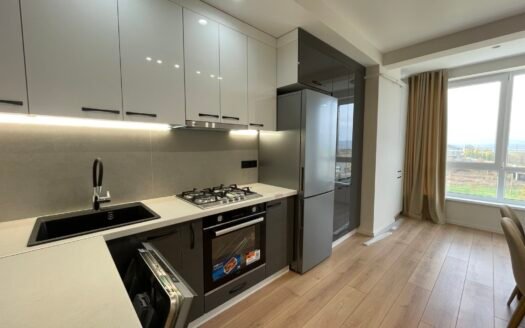 Apartament Orhei, str.Sălciilor 75