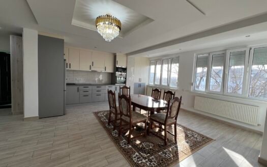 Apartament Orhei str.Valeriu Cupcea