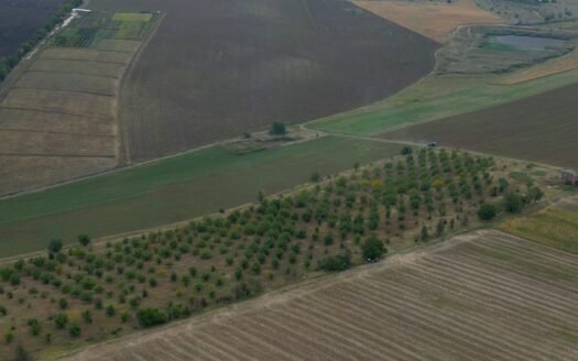 Teren 4,87 Ha în Pelivan, Orhei.