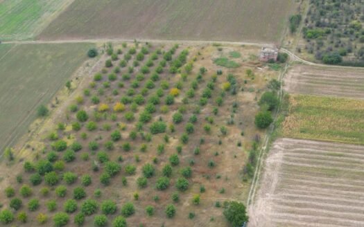 Teren 4,87 Ha în Pelivan, Orhei.